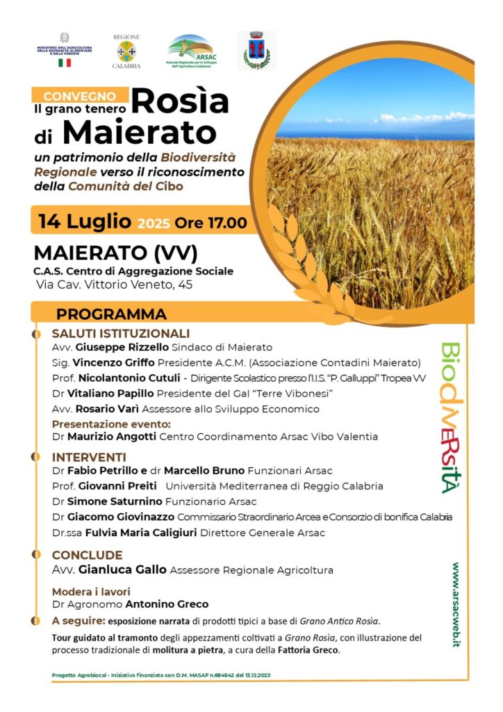 Maierato punta alla valorizzazione della Rosìa, grano antico dall'importante valore nutraceutico 3 locandina arsac