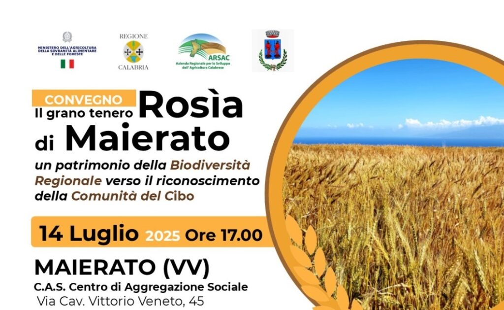 rosia