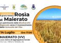 Maierato punta alla valorizzazione della Rosìa, grano antico dall’importante valore nutraceutico