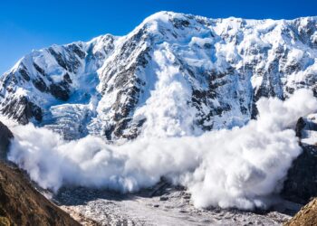 È crisi alla Provincia di Vibo Valentia: slavina politica si abbatte su L’Andolina, scaricato dai gruppi di centrodestra e centro