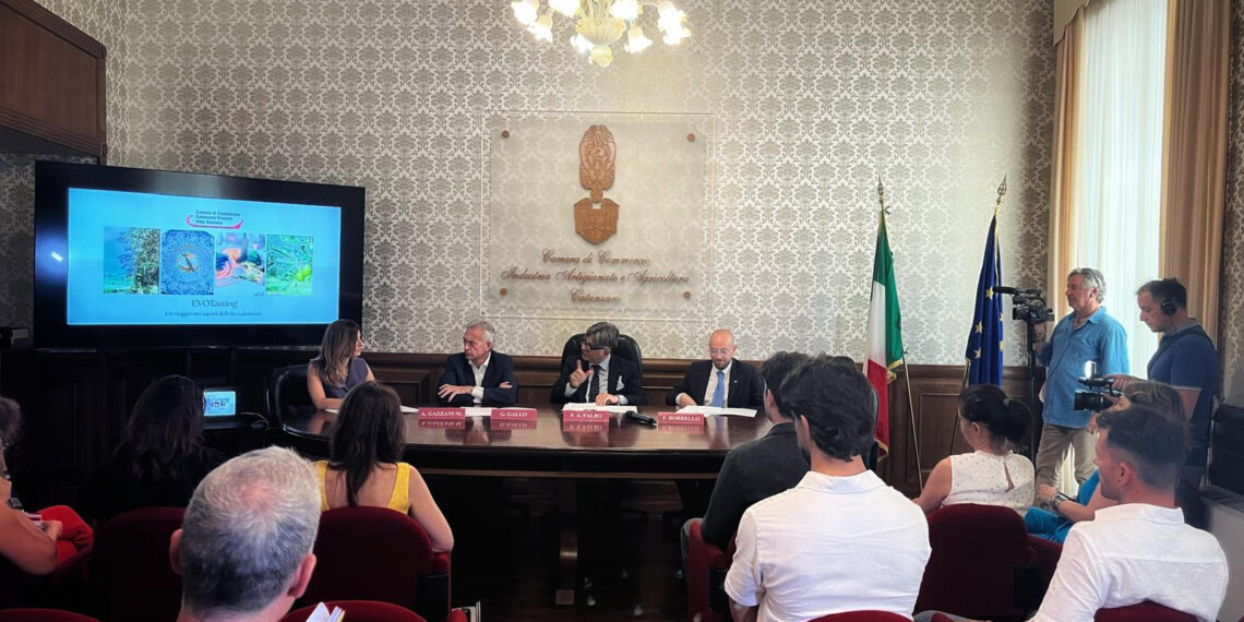 Presentato il Bando “Evotasting” della Camera di Commercio di Catanzaro Crotone Vibo Valentia