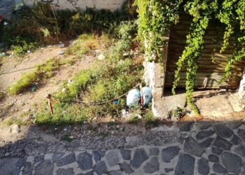 Vibo Valentia, via Torretta: un’area lasciata all’abbandono e al degrado, il grido di allarme dei cittadini