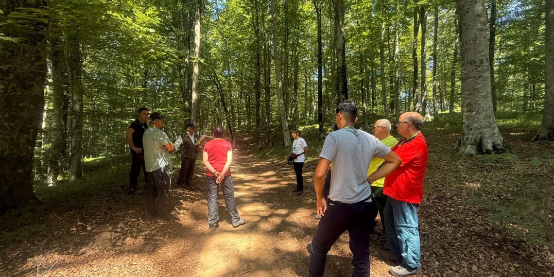 La montagna per un percorso di prevenzione, cura e riabilitazione per portatori di problematiche, patologie o disabilità