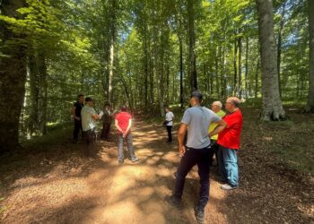 La montagna per un percorso di prevenzione, cura e riabilitazione per portatori di problematiche, patologie o disabilità
