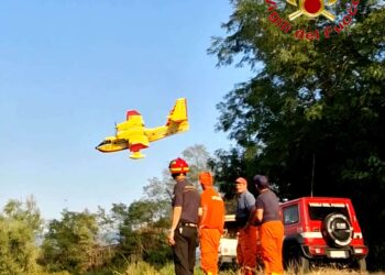 Spento con due canadair il vasto incendio divampato nel comune di Mileto