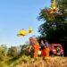 Spento con due canadair il vasto incendio divampato nel comune di Mileto