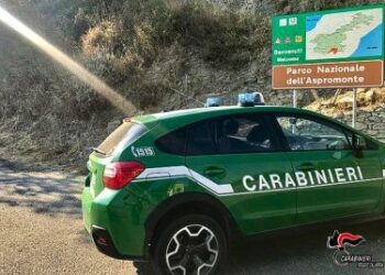 Stava bruciando eternit e plastiche con un bruciatore nella Fiumara Novito: arrestato