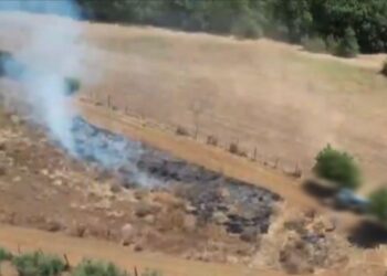 Sterpaglie in fumo nel periodo vietato, intervento immediato dei carabinieri. Il video