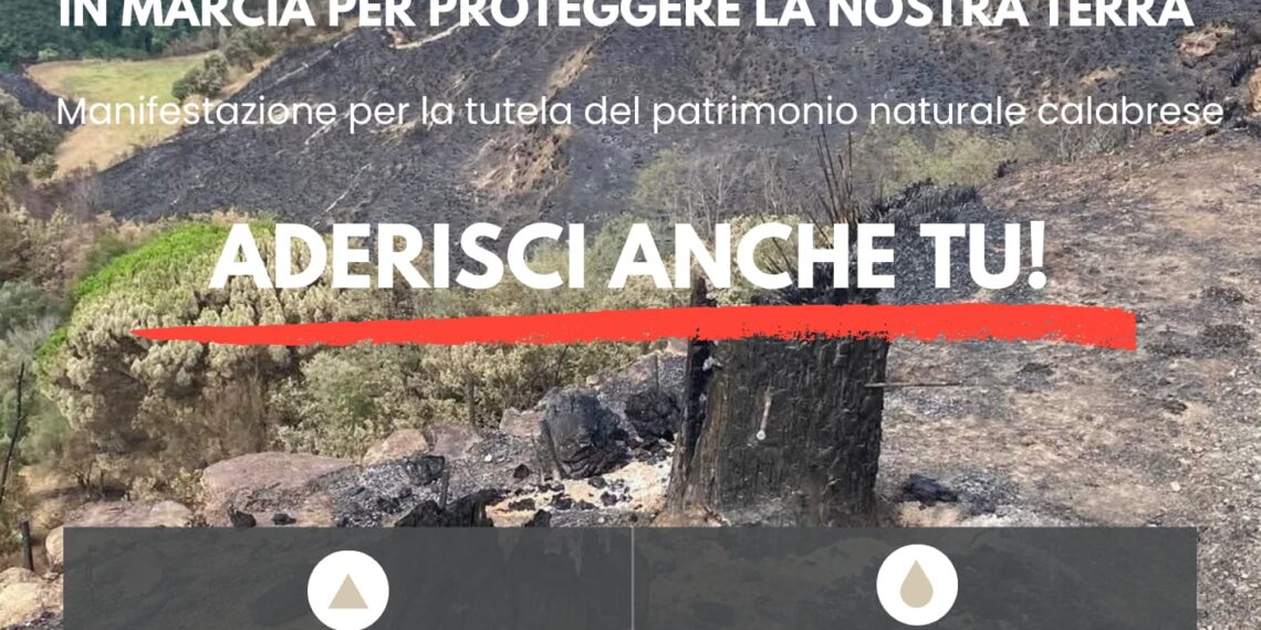 A Drapia si “accende” la voglia di Rinascita dopo il pauroso incendio. Domani pomeriggio la manifestazione