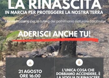 A Drapia si “accende” la voglia di Rinascita dopo il pauroso incendio. Domani pomeriggio la manifestazione