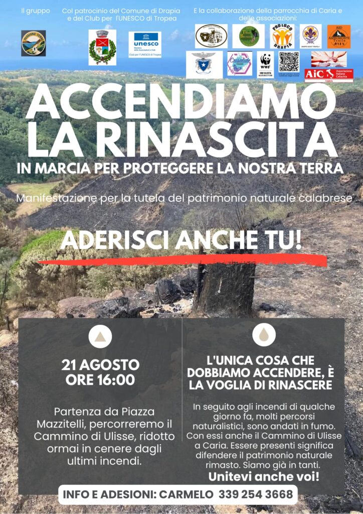 A Drapia si "accende" la voglia di Rinascita dopo il pauroso incendio. Domani pomeriggio la manifestazione 3 IMG 20250814 WA0624