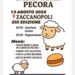 Zaccanopoli festeggia la tredicesima Sagra della Pecora 8 Zaccanopoli festeggia la tredicesima Sagra della Pecora