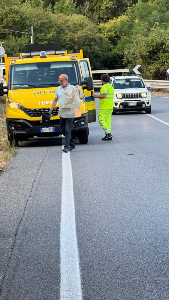Vibo pulizia statale 18 comune e anas 3