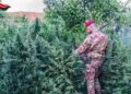 Armi e droga ritrovati dai Carabinieri a Stilo e Monasterace (VIDEO)