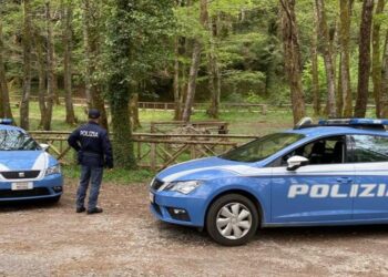 Non si attengono alle misure di prevenzione cui erano sottoposti, denunciati