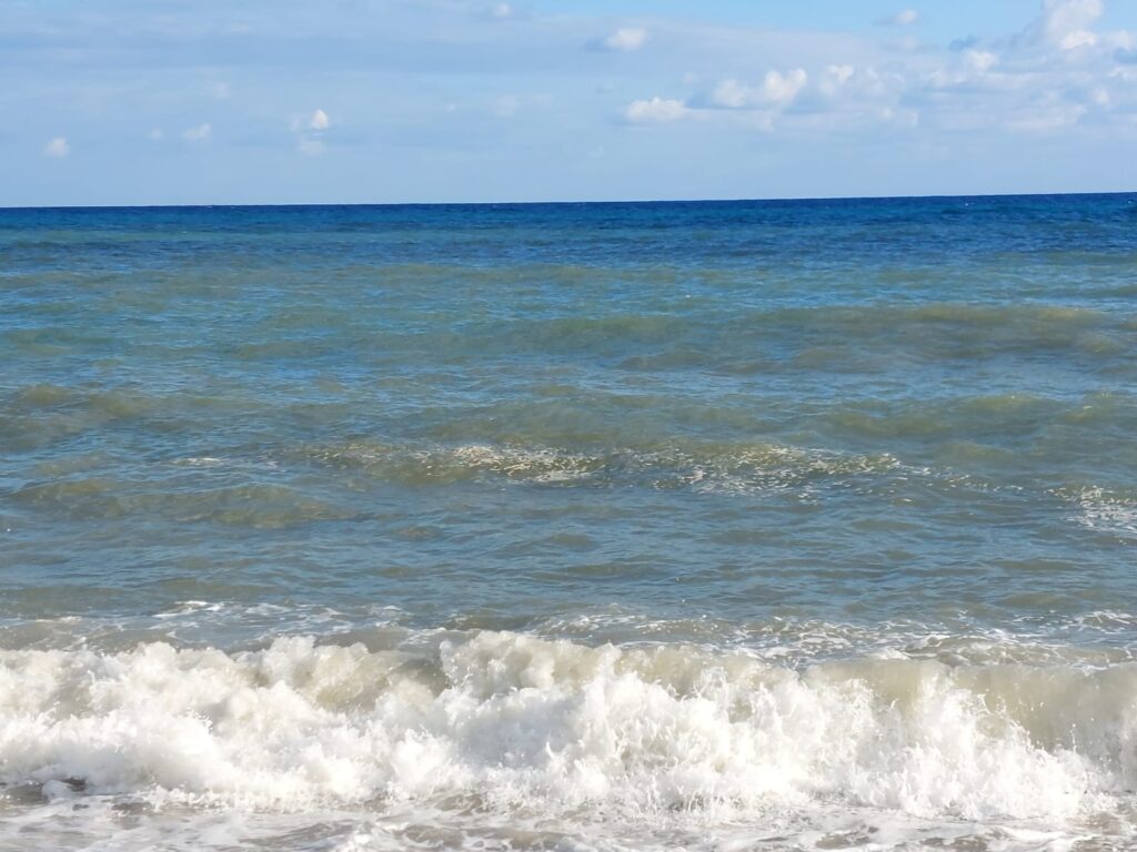 Bivona, il paradiso perduto: una vergogna che non si può più ignorare 8 WhatsApp Image 2025 08 06 at 22.14.42 1