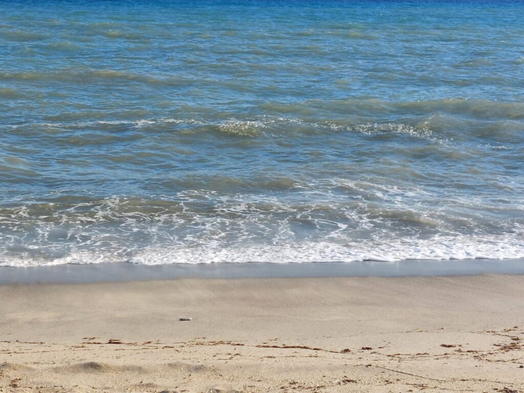 Bivona, il paradiso perduto: una vergogna che non si può più ignorare 7 WhatsApp Image 2025 08 06 at 22.14.43