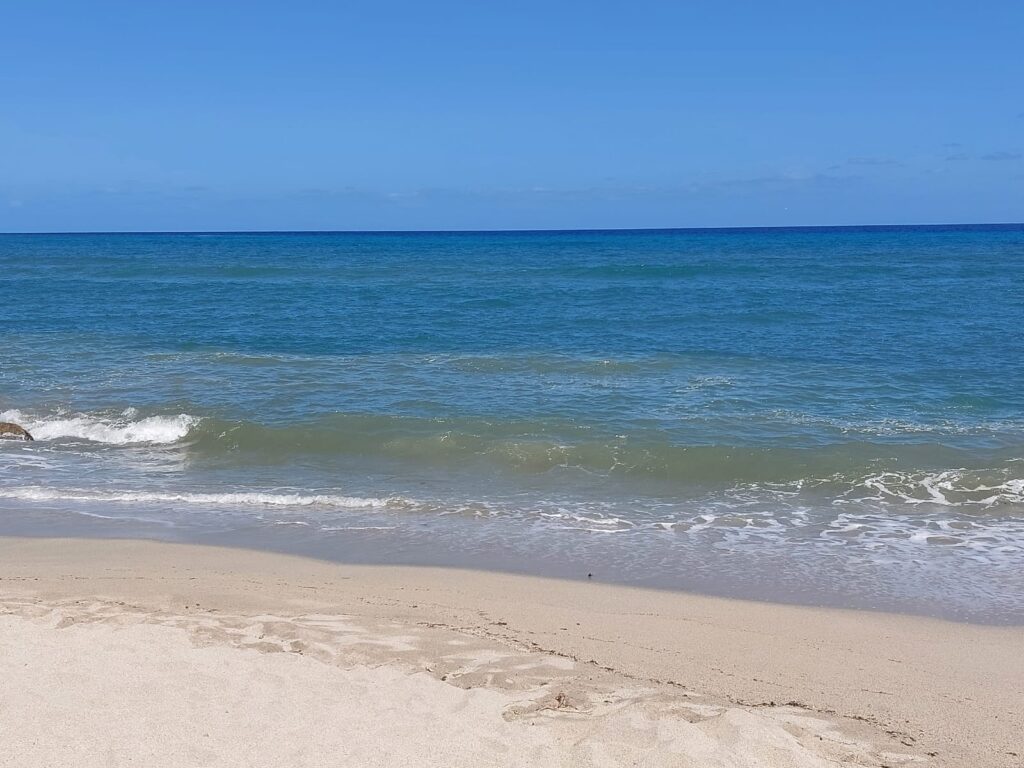 Bivona, il paradiso perduto: una vergogna che non si può più ignorare 2 WhatsApp Image 2025 08 06 at 22.14.44
