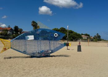 Il paradosso di Bivona, ovvero l'inutilità di avere una spiaggia pulita! 2 Il paradosso di Bivona, ovvero l’inutilità di avere una spiaggia pulita!