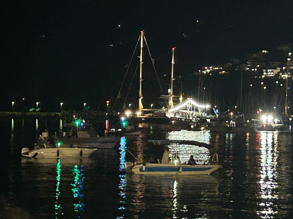 Straordinaria partecipazione a Vibo Marina per i festeggiamenti della Patrona, Stella Maris (VIDEO) 10 WhatsApp Image 2025 08 17 at 23.21.23 1