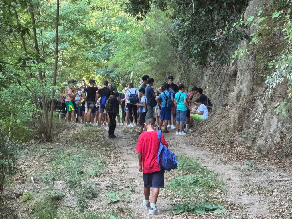 Grande successo a Gerocarne per la giornata dedicata al Cammino del Normanno (VIDEO) 3 WhatsApp Image 2025 08 19 at 14.39.43 6