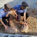 Scoperto dai Carabinieri di Gioia Tauro un “mini zoo” abusivo