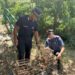 I Carabinieri scoprono un deposito per l’uccellagione a Villa San Giovanni 8 I Carabinieri scoprono un deposito per l’uccellagione a Villa San Giovanni