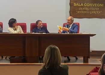 Alvaro nei luoghi di Alvaro, le proposte di Luigi Stanizzi al Commissario Straordinario di San Luca