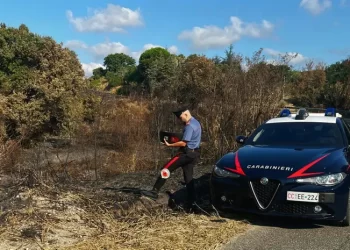 Arrestato un 35enne mentre appiccava il fuoco in un’area di macchia mediterranea e querce secolari
