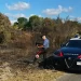 Arrestato un 35enne mentre appiccava il fuoco in un’area di macchia mediterranea e querce secolari