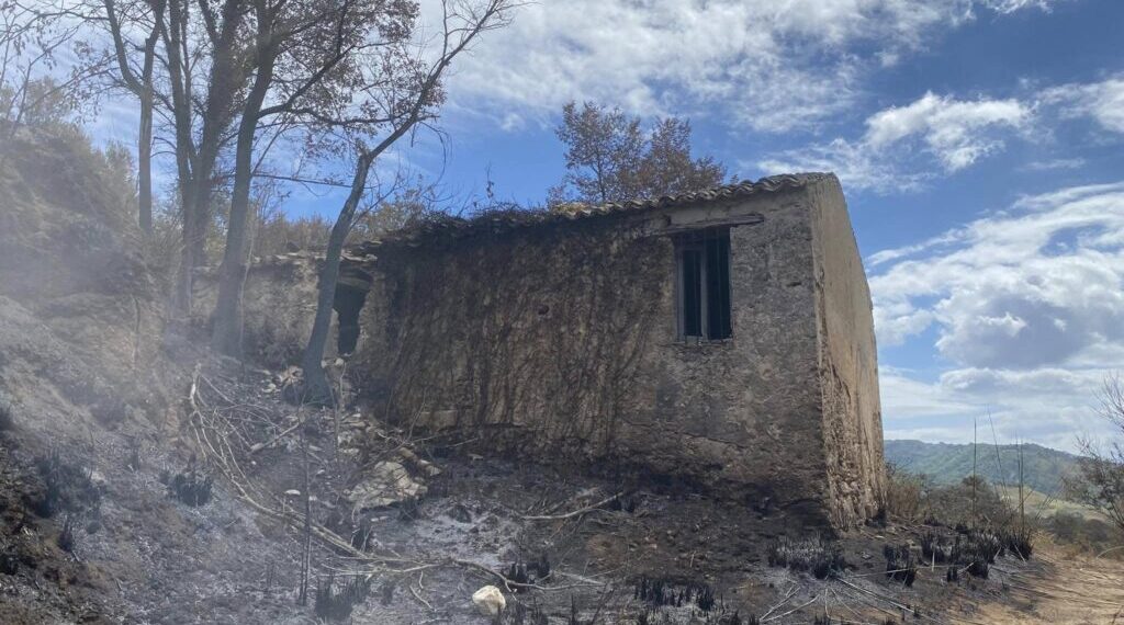 A Drapia si “riaccende” la rinascita. Una folla straripante di donne, uomini e soprattutto giovani ha partecipato all’evento