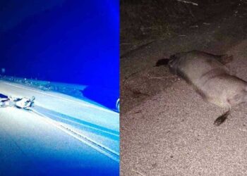 Diversi incidenti sulle strade della calabria durante la notte