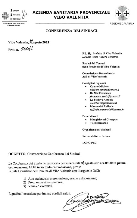 Sanità vibonese, torna a riunirsi la Conferenza dei Sindaci 2 conferenza sindaci 26 agosto