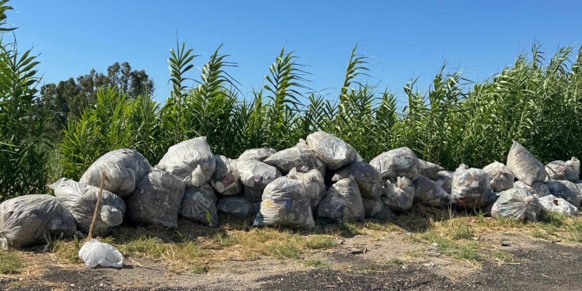 Comune e Provincia di Vibo Valentia insieme per la pulizia della strada provinciale 11