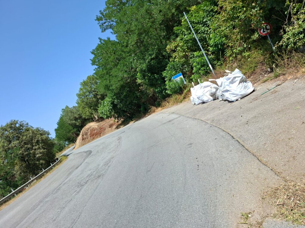 Comune e Provincia di Vibo Valentia insieme per la pulizia della strada provinciale 11 2 pulizia sp11 3