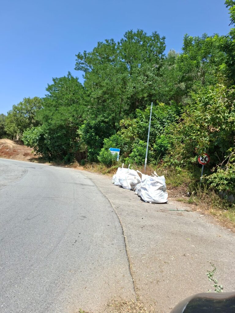 Comune e Provincia di Vibo Valentia insieme per la pulizia della strada provinciale 11 6 pulizia sp11 4