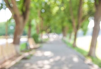 Non si cambia nome nè volto alla memoria