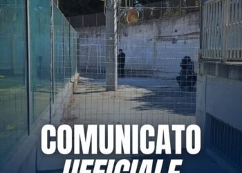Vibonese: c’è il rischio di una stagione a porte chiuse se il Comune non provvede a fare ciò che è di sua competenza