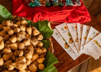 Ancora un successo per l’edizione 2025 del Fichi Festival