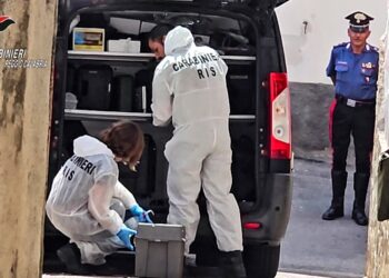 Gioiosa Jonica: accusato di aver ucciso un connazionale, indiano arrestato dai Carabinieri (VIDEO)