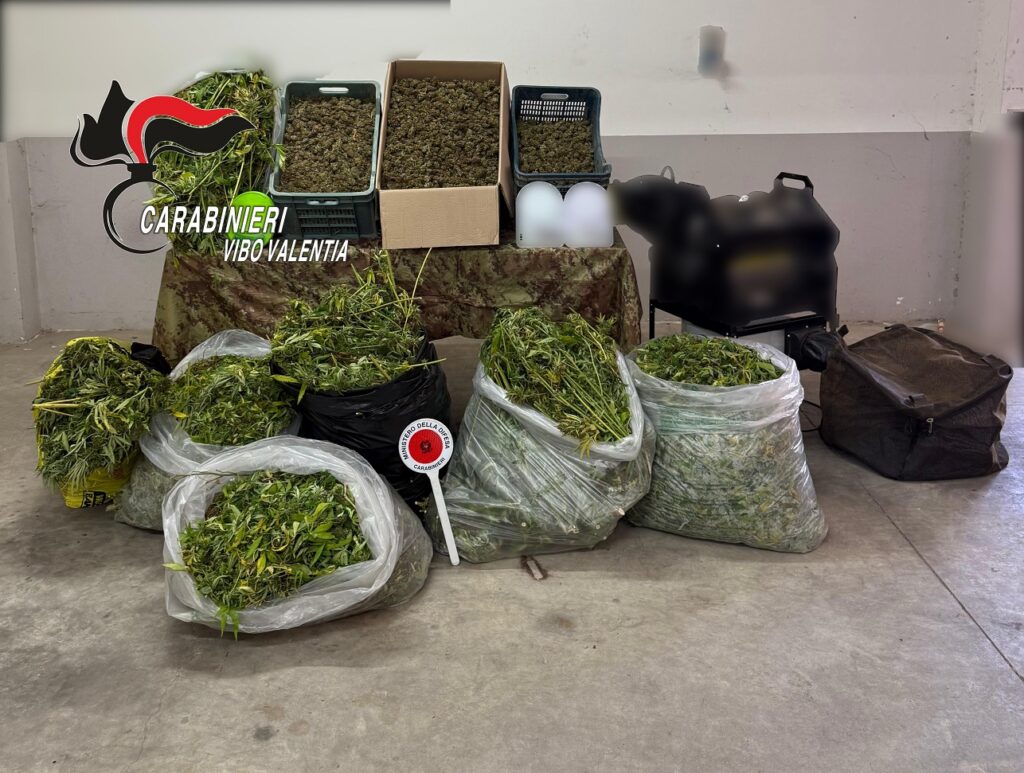 Foto marijuana