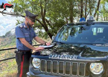 Rifiuti organici in decomposizione, i carabinieri sequestrano un’intera area aziendale (VIDEO)