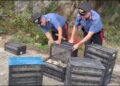 Durante un controllo i Carabinieri scoprono e liberano 2200 uccelli protetti (VIDEO)