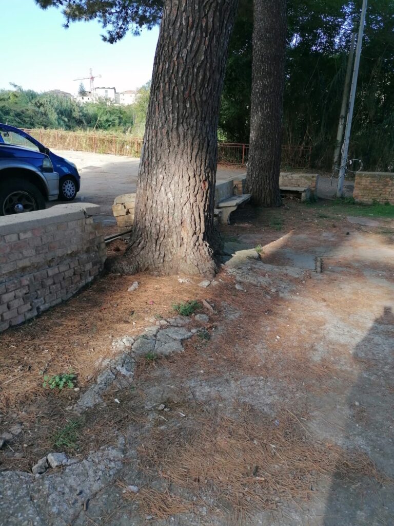 WhatsApp Image 2025 09 16 at 09.22.35 2