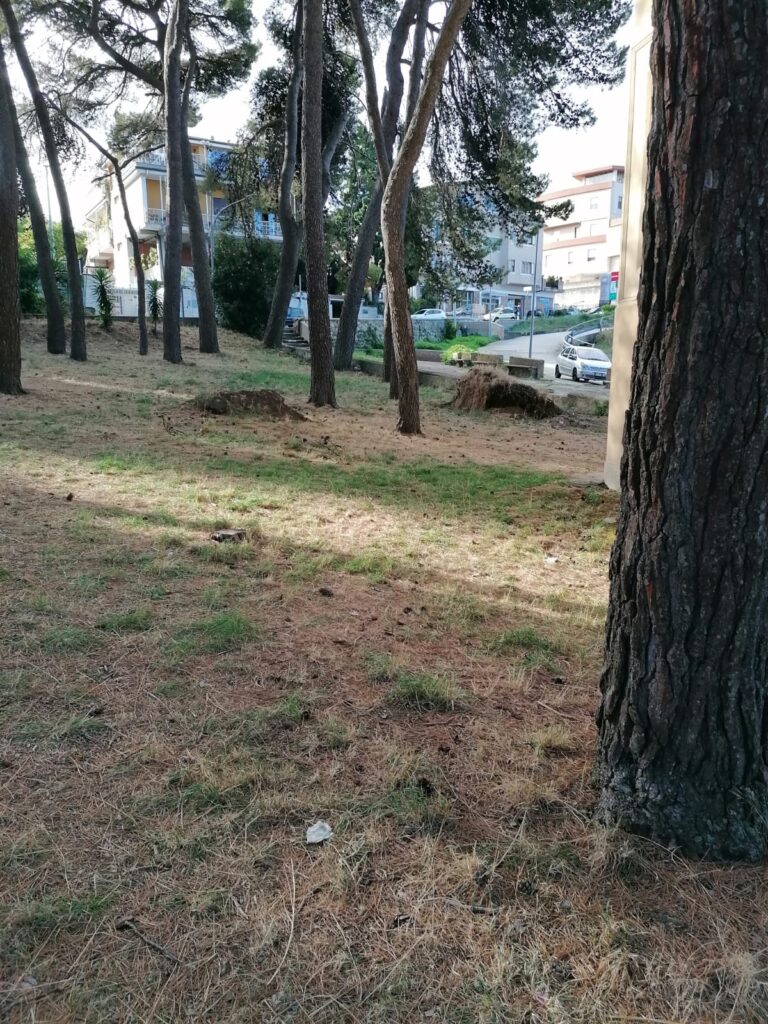 WhatsApp Image 2025 09 16 at 09.22.36 2