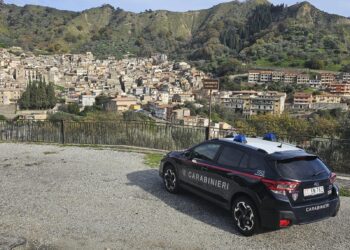 Proseguono i controlli dei Carabinieri Forestali a tutela del patrimonio naturalistico nel Parco Nazionale d’Aspromonte
