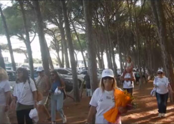 Catanzaro, la FNP Cisl organizza una "Passeggiata Culturale Intergenerazionale" (VIDEO) 3 Catanzaro, la FNP Cisl organizza una “Passeggiata Culturale Intergenerazionale” (VIDEO)