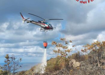 Un incendio in località Ciaramiti distrugge circa 2 ettari di  macchia mediterranea