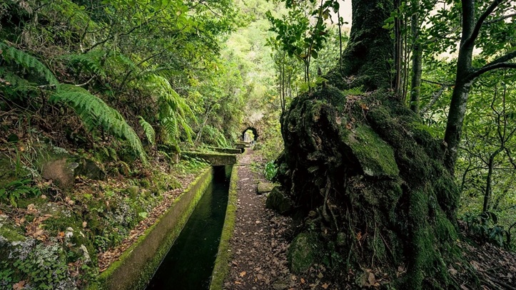 madeira 2