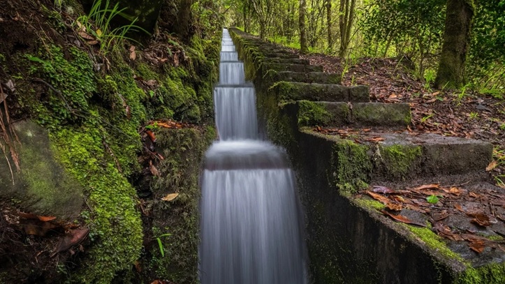 madeira 3